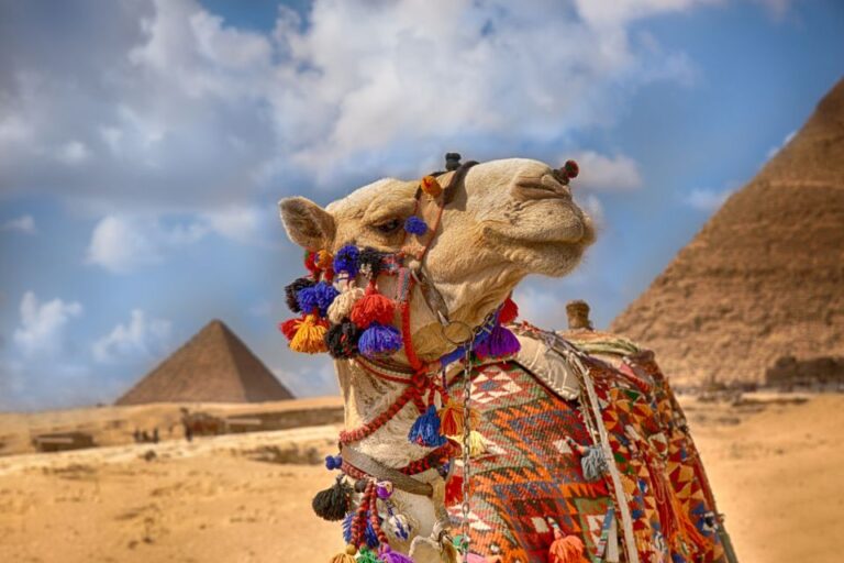Hurghada: Cairo & Giza Pyramids, Museum & Nile Boat Trip