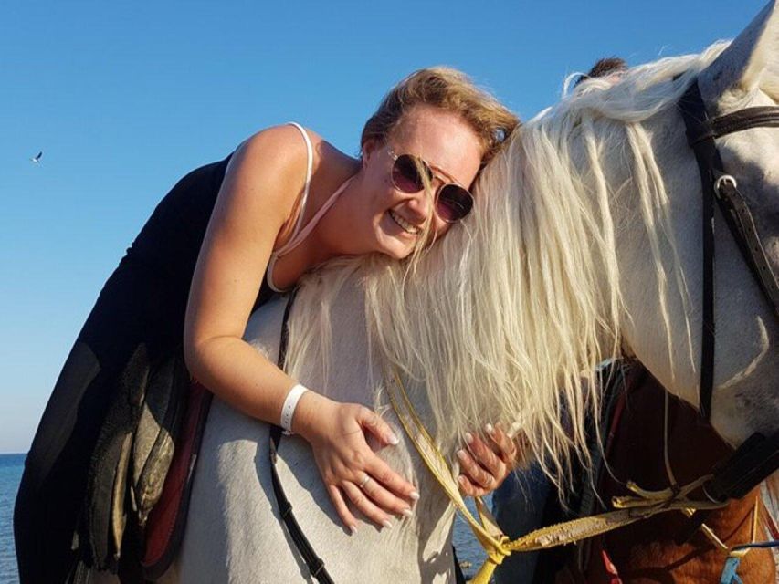 1 hurghada desert and sea horseback riding tour with transfer Hurghada: Desert and Sea Horseback Riding Tour With Transfer