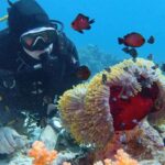 1 hurghada diving and snorkeling tour with transfers Hurghada: Diving and Snorkeling Tour With Transfers