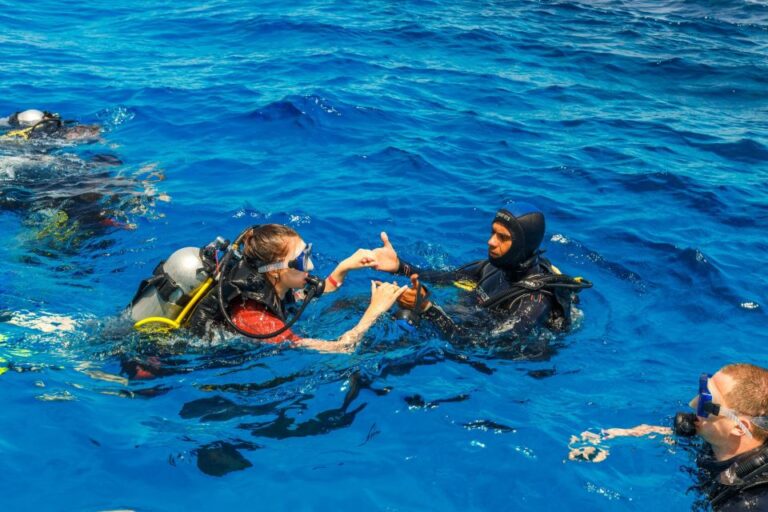 Hurghada: Diving and Snorkeling Tour With Transfers
