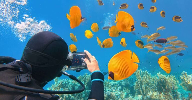 Hurghada: Diving & Snorkeling Cruise Tour W Lunch & Drinks