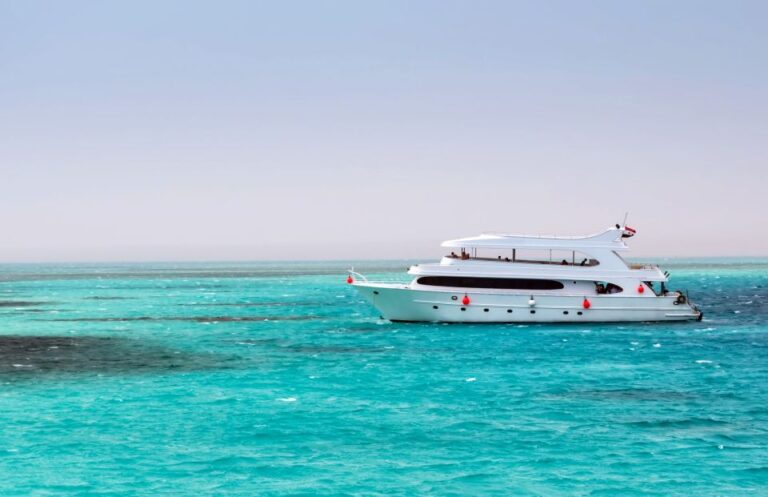 Hurghada: Dolphin Watching Boat Tour With Snorkeling & Lunch