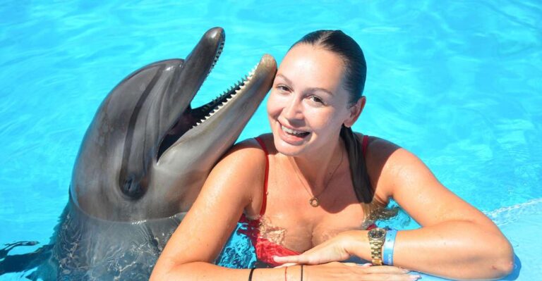 Hurghada: Dolphin World Private Swimming With Transfers