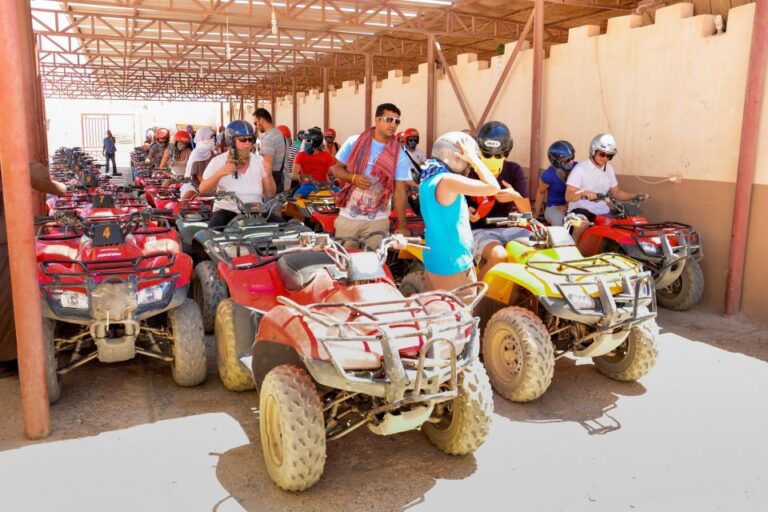 Hurghada: Full-Day Quad & Camel Ride, Stargazing, & Dinner