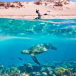 1 hurghada giftun island tour with snorkeling buffet lunch Hurghada: Giftun Island Tour With Snorkeling & Buffet Lunch