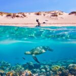 1 hurghada giftun island tour with snorkeling buffet lunch 2 Hurghada: Giftun Island Tour With Snorkeling & Buffet Lunch