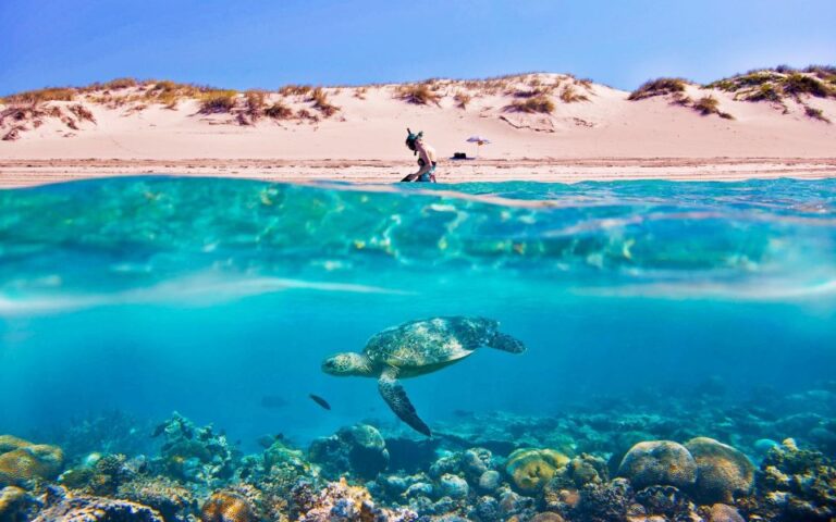 Hurghada: Giftun Island Tour With Snorkeling & Buffet Lunch