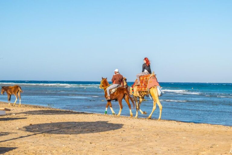 Hurghada: Horse Ride Along the Sea & Desert With Transfers