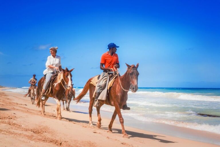 Hurghada: Horse Ride Along the Sea & Desert With Transfers