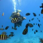 1 hurghada intro diving snorkeling tour with lunch drinks Hurghada: Intro Diving & Snorkeling Tour With Lunch & Drinks