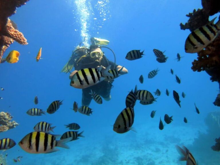 Hurghada: Intro Diving & Snorkeling Tour With Lunch & Drinks