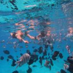 1 hurghada kings boat trip with snorkeling islands lunch Hurghada: King's Boat Trip With Snorkeling, Islands & Lunch