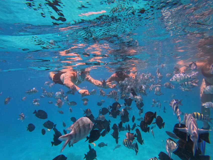 1 hurghada kings boat trip with snorkeling islands lunch Hurghada: King's Boat Trip With Snorkeling, Islands & Lunch