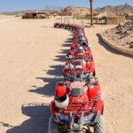 1 hurghada morning quad bike tour camel ride and transfer Hurghada: Morning Quad Bike Tour, Camel Ride and Transfer