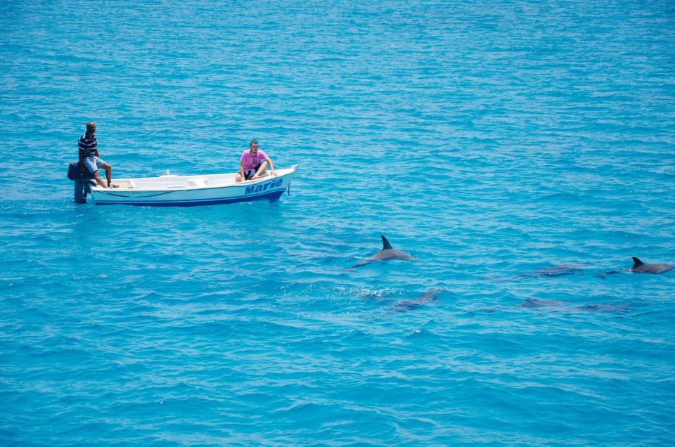 1 hurghada orange island dolphin watching snorkeling trip Hurghada: Orange Island & Dolphin Watching Snorkeling Trip