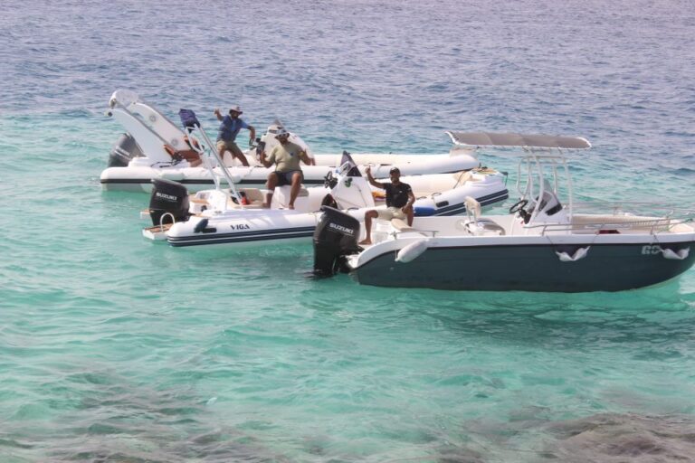 Hurghada: Private Speedboat To Paradise Island W Snorkeling