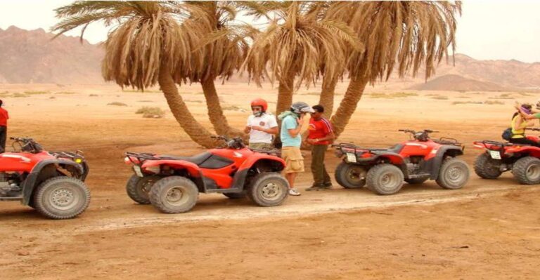 Hurghada: Quad Desert Safari With Camel Ride and Transfer