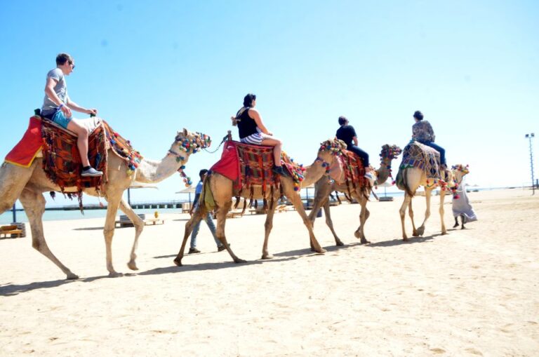 Hurghada: Sea & Desert Camel Ride W/Dinner, Show, Stargazing