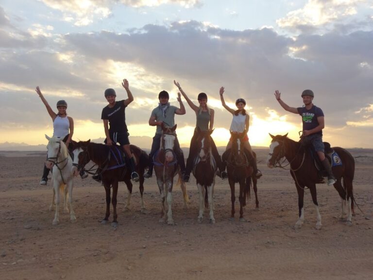 Hurghada: Sea & Desert Horse Tour, Stargazing, Dinner & Show