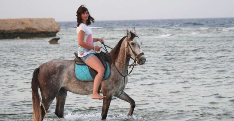 Hurghada: Sea & Desert Horse Tour, Stargazing, Dinner & Show