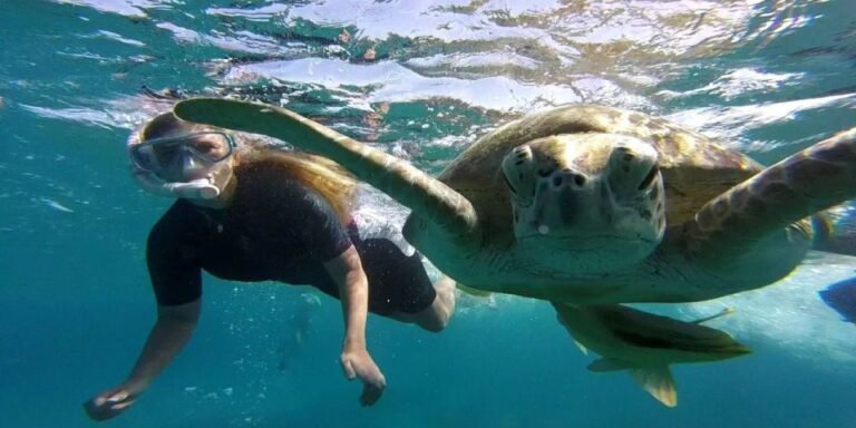 Hurghada: Sharm El Naga Tour With Snorkeling & Lunch