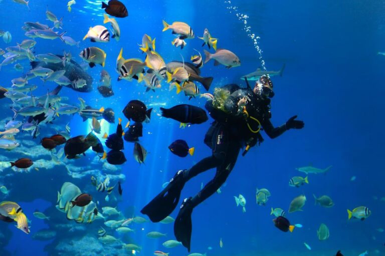 Hurghada: Sindbad Submarine Tour With Hotel Transfers