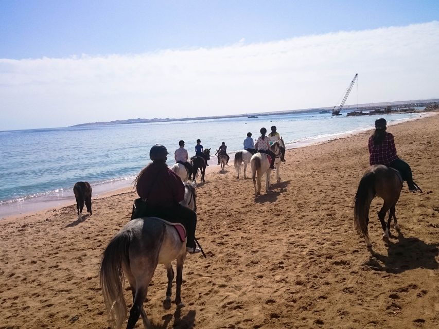 1 hurghada sunrise sea desert horse ride w opt breakfast Hurghada: Sunrise Sea & Desert Horse Ride W Opt Breakfast