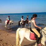 1 hurghada sunset sea desert horse w opt dinner stargazing Hurghada: Sunset Sea, Desert Horse W Opt, Dinner, Stargazing