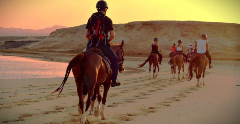 Hurghada: Sunset Sea, Desert Horse W Opt, Dinner, Stargazing