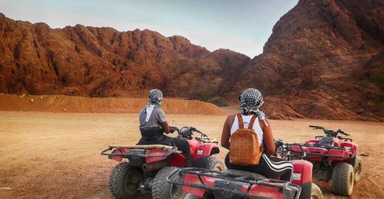 Hurghada: VIP Quad, Sea, Camel, Safari, Stargazing & Dinner