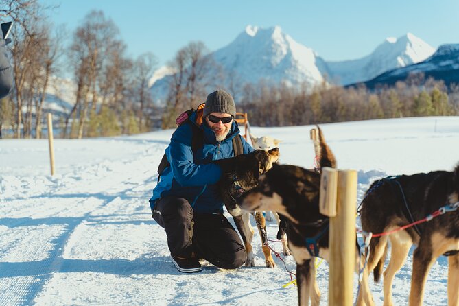 1 husky experience and dog sled driving morning tour Husky Experience and Dog Sled Driving - Morning Tour