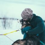 1 husky sledding self drive adventure in tromso Husky Sledding Self-Drive Adventure in Tromso