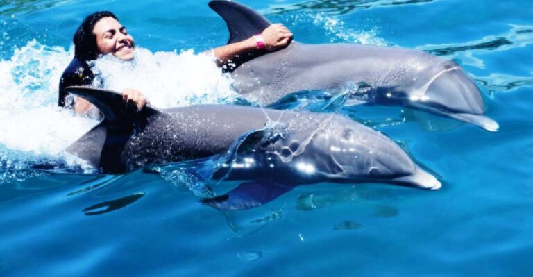 I Swim With Dolphins at Ocean World Puerto Plata