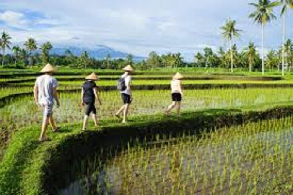 1 ijen private tour stay with locals in the village 2d 1n Ijen Private Tour : Stay With Locals In The Village (2D/1N)