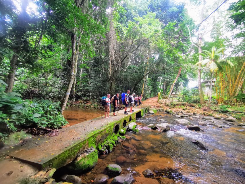 1 ilha grande private hiking with forest beaches waterfall Ilha Grande: Private Hiking With Forest, Beaches & Waterfall