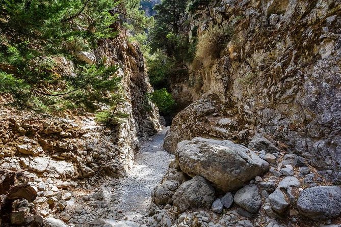 Imbros Gorge and Sfakia Full-Day Hiking Tour From Chania