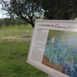 1 in the footsteps of van gogh in provence from avignon In the Footsteps of Van Gogh in Provence From Avignon