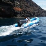 1 inflatable boat without a license  Inflatable Boat Without a License