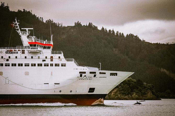 InterIslander Ferry – Picton to Wellington