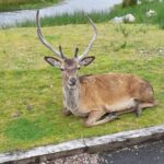 1 inverness small group highlands tour incl applecross Inverness: Small-Group Highlands Tour, Incl. Applecross