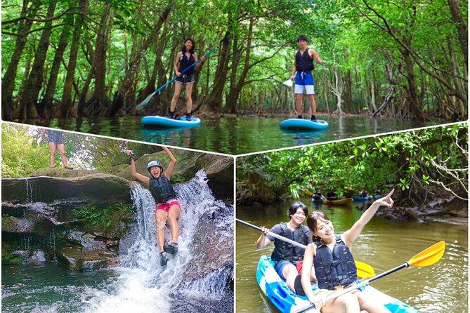 1 iriomotesup canoe tour at mangrove forestsplash canyoning [Iriomote]SUP/Canoe Tour at Mangrove ForestSplash Canyoning!!