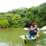 1 ishigaki island 2 hour miyara river kayaking tour Ishigaki Island: 2-Hour Miyara River Kayaking Tour