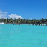 1 isla saona day trip with starfish pool and Isla Saona Day Trip With Starfish Pool and …