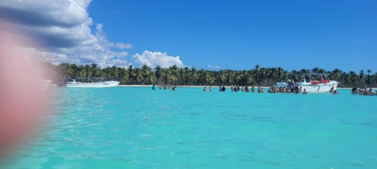 Isla Saona Day Trip With Starfish Pool and …