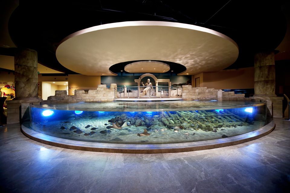 1 istanbul aquarium and aqua florya shopping mall tour Istanbul Aquarium and Aqua Florya Shopping Mall Tour