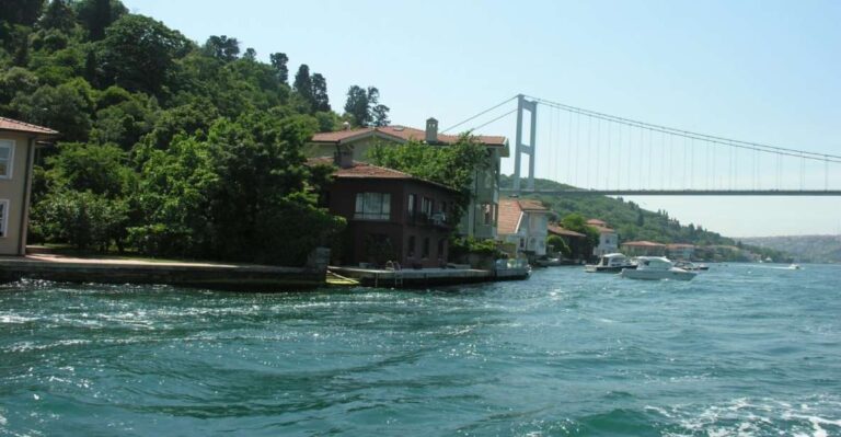 Istanbul: Bosphorus Sightseeing Boat Tour With Guide