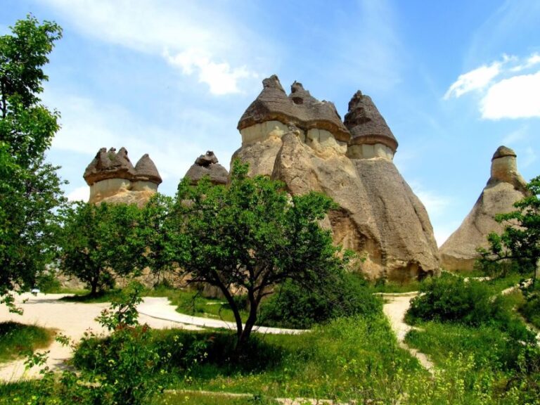 Istanbul: Cappadocia Guided FullDay Trip by Plane