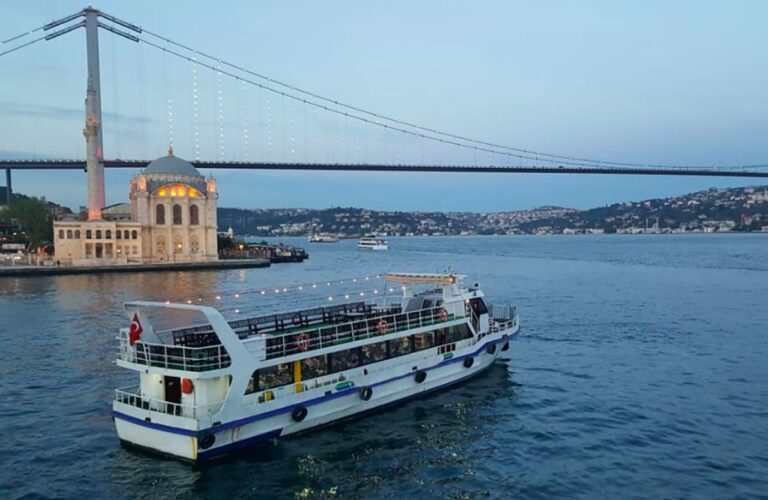 Istanbul: Old Town Highlights Tour & Bosphorus Cruise