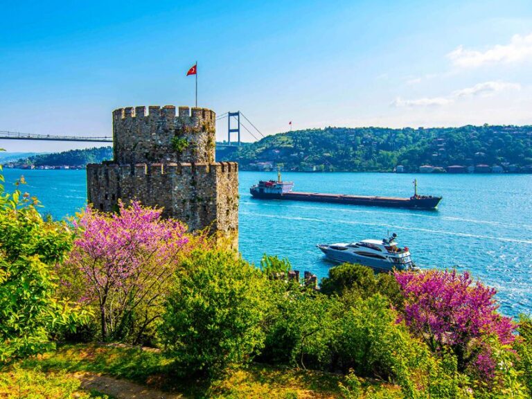 Istanbul: Spice Bazaar Tour and Bosphorus Morning Cruise