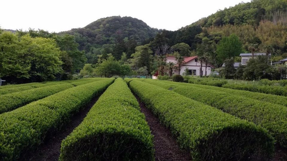 1 izu peninsula ike village Izu Peninsula: Ike Village Experience